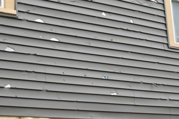 Best Steel Siding Installation  in Capitol Heights, MD